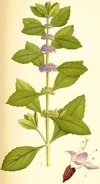 0401f2if-d8e4-200x366.jpg