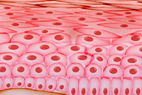 0401f3h0-4c03-142x95.png