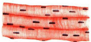 0401f3ic-d672-185x85.png