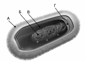 0401faxu-1e7a-276x203.png