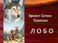 Презентація до уроку сетона-Томпсона "Лобо - володар Курумпо"