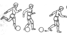 0401fehg-2a38-233x123.png