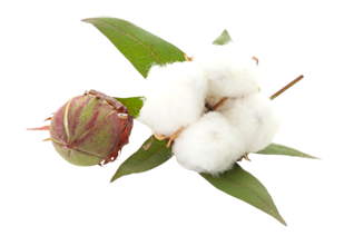 0401fgte-b70d-318x212.png