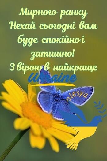 0401fgyw-e10a-349x526.jpg