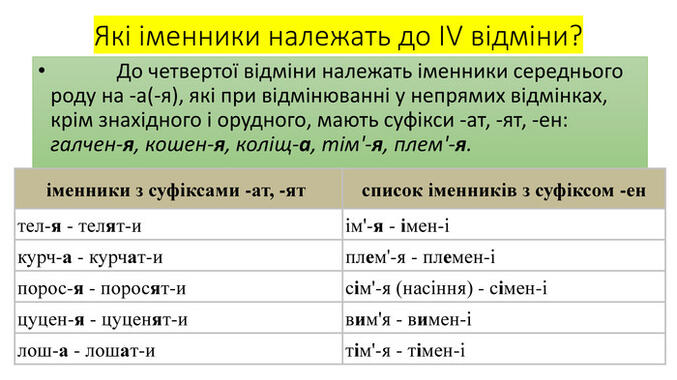 0401fgyx-9606-677x380.jpg