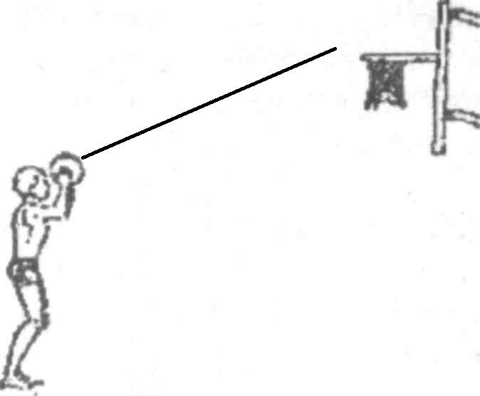 0401fhwl-55ef-674x556.jpg