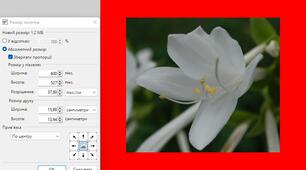 Зміна розміру полотна в графічному редакторі Paint.Net