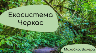 Учнівський проєкт "Дослідження особливостей структури екосистеми м.Чернігів