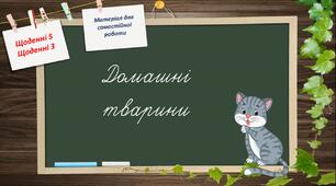 Щоденні 5. Щоденні 3. Матеріал для самостійної роботи в 1 класі. Домашні тварини