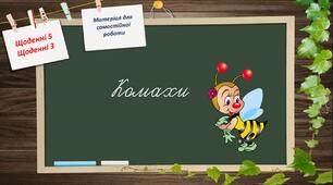 Щоденні 5. Щоденні 3. Матеріал для самостійної роботи в 1 класі. Комахи