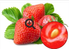 0401fmzu-c121-236x167.png