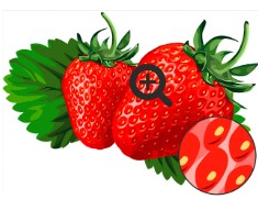0401fn03-bc42-235x181.png