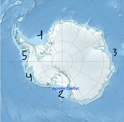 0401fob5-eea0-419x414.png