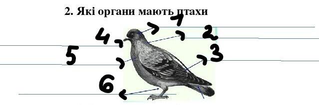 0401fq0i-e03c-639x211.jpg