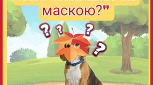 Хто сховався за маскою? 