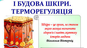  Значення і будова шкіри.Терморегуляція.
