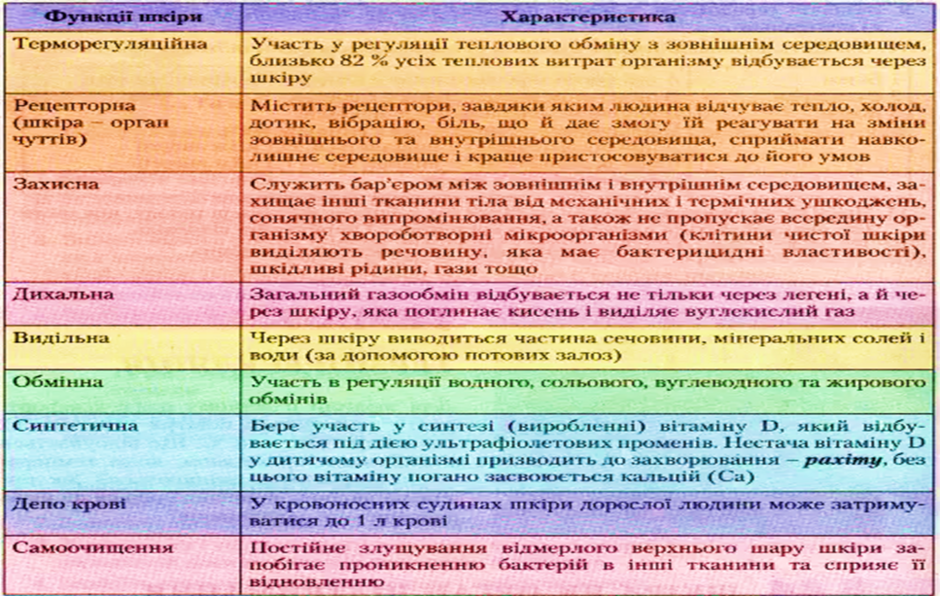 0401fs5l-dfa3-940x596.png