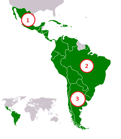 0401fsas-0613-390x450.png