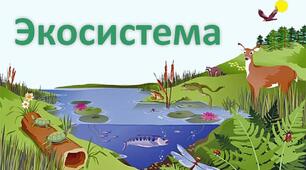 11 клас (стандарт) Екосистема. Властивості і характеристика