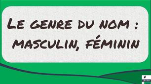 le genre des noms