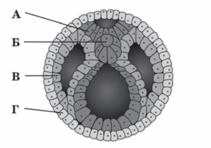 0401fwq7-4a32-305x214.png