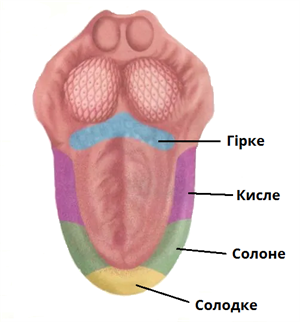 0401fx4u-ba1d-300x322.png
