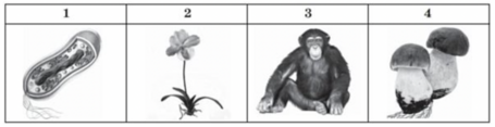 0401fx7h-d1d9-455x117.png