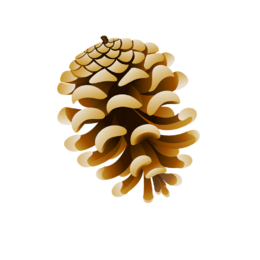 0401fxzm-0e6c-260x260.png