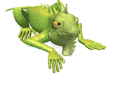 0401fzy3-1bd8-161x132.gif