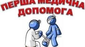 Практичні навички: моделювання ситуацій надання першої долікарської допомоги в разі поганого самопочуття.