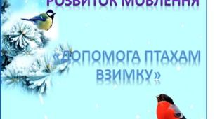 Розвиток мовлення. Середня група. "Допоможемо птахам  взимку"