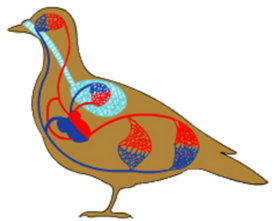 0401g0le-7450-278x221.png