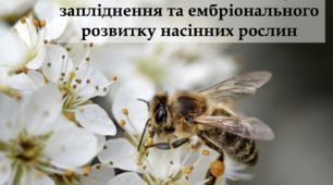 Особливості гаметогенезу, запліднення та ембріонального розвитку насінних рослин - Навчальний проєкт - 10 клас