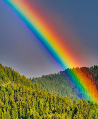 0401g476-375e-324x395.png