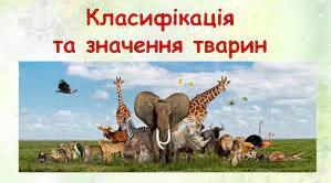 Класифікація тварин