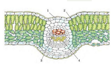 0401g5bt-7caa-383x222.png