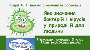 Яке значення бактерій і вірусів у природі й для людини, 5 клас, НУШ