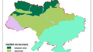 8 клас - Практична робота № 9 Складання порівняльної характеристики природних зон України