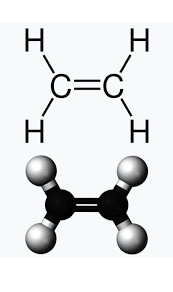 0401gbyy-85da-173x292.png
