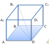 0401geng-9963-170x162.png