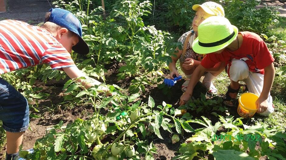 Новини районів - Департамент освіти і науки, молоді та спорту Києва