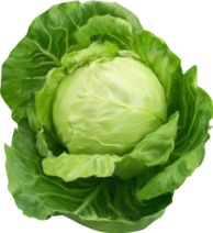 0401gghf-66b1-194x212.png