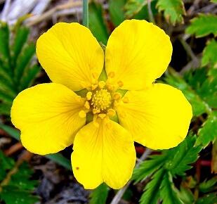 0401gh3l-d976-309x290.jpg