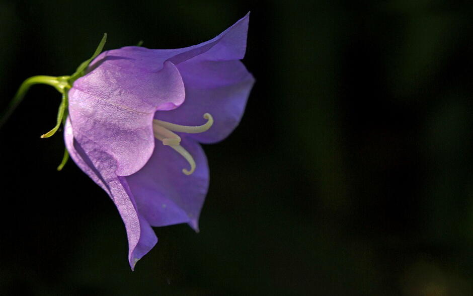 0401gh55-f773-940x588.jpg