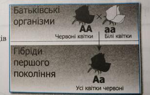0401gh8b-9b0b-308x196.jpg