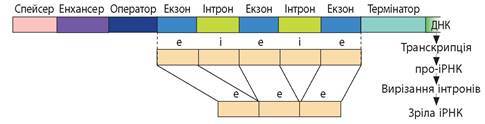 0401ghh5-c6d5-485x124.jpg
