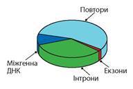0401ghh6-fbb1-192x129.jpg