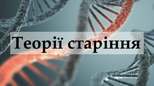 Теорії старіння - Навчальний проєкт - 10 клас