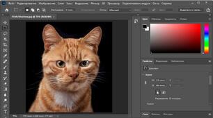  Графічний редактор Adobe Photoshop1