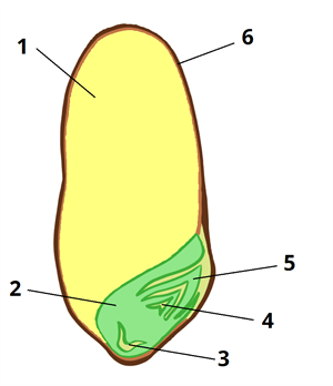 0401gjv6-1356-300x348.png